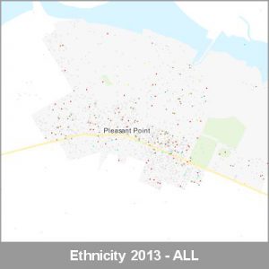 Ethnicity Pleasant Point ALL ProductImage 2013