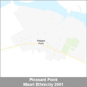 Ethnicity Pleasant Point Maori ProductImage 2001
