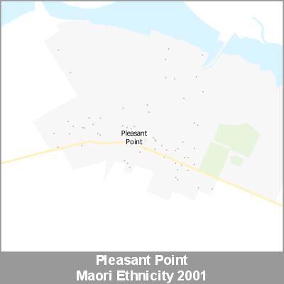 Ethnicity Pleasant Point Maori ProductImage 2001