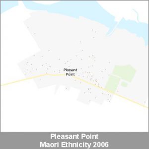 Ethnicity Pleasant Point Maori ProductImage 2006