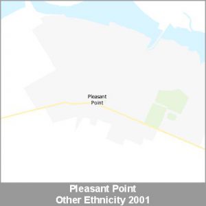 Ethnicity Pleasant Point Other ProductImage 2001