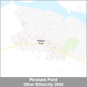 Ethnicity Pleasant Point Other ProductImage 2006