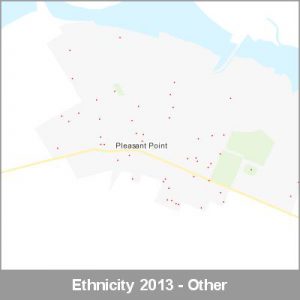 Ethnicity Pleasant Point Other ProductImage 2013