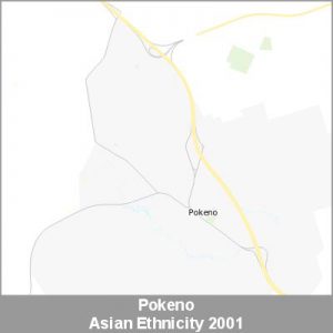 Ethnicity Pokeno Asian ProductImage 2001