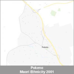 Ethnicity Pokeno Maori ProductImage 2001
