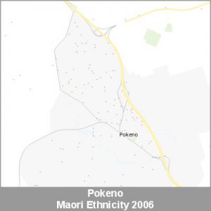 Ethnicity Pokeno Maori ProductImage 2006