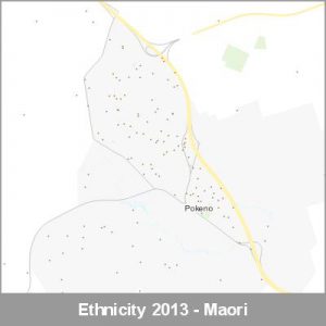Ethnicity Pokeno Maori ProductImage 2013