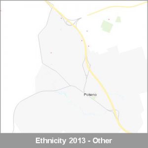 Ethnicity Pokeno Other ProductImage 2013