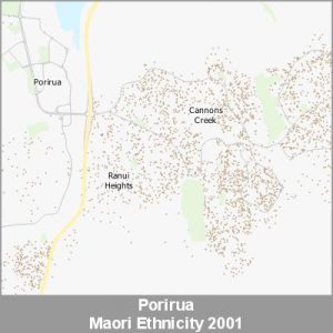 Ethnicity Porirua Maori ProductImage 2001