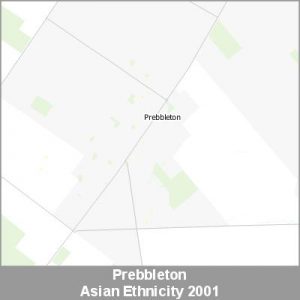 Ethnicity Prebbleton Asian ProductImage 2001