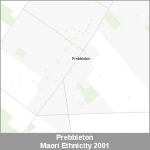 Ethnicity Prebbleton Maori ProductImage 2001