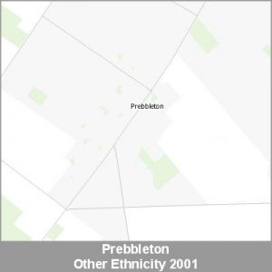 Ethnicity Prebbleton Other ProductImage 2001