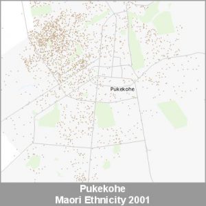 Ethnicity Pukekohe Maori ProductImage 2001