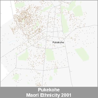 Ethnicity Pukekohe Maori ProductImage 2001