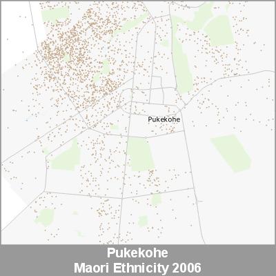 Ethnicity Pukekohe Maori ProductImage 2006