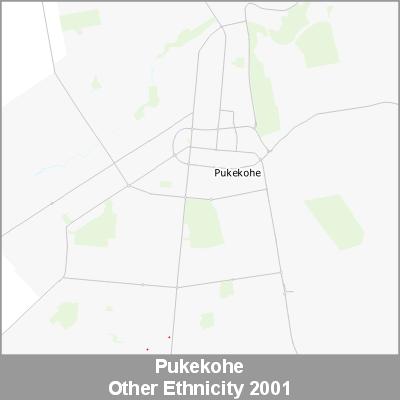 Ethnicity Pukekohe Other ProductImage 2001