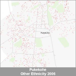 Ethnicity Pukekohe Other ProductImage 2006