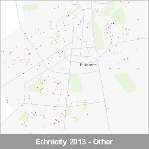 Ethnicity Pukekohe Other ProductImage 2013