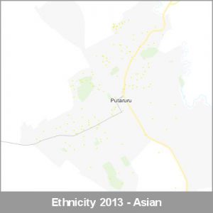 Ethnicity Putaruru Asian ProductImage 2013
