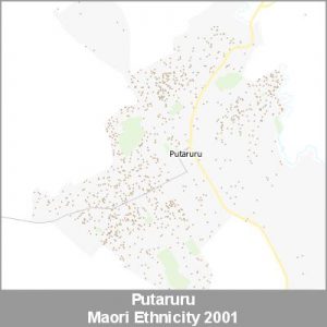 Ethnicity Putaruru Maori ProductImage 2001