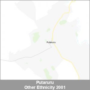 Ethnicity Putaruru Other ProductImage 2001