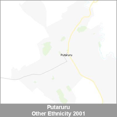 Ethnicity Putaruru Other ProductImage 2001