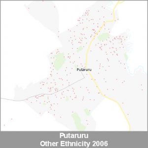 Ethnicity Putaruru Other ProductImage 2006