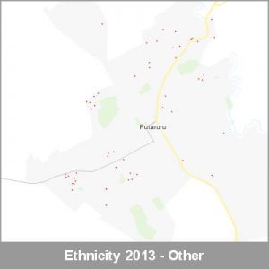 Ethnicity Putaruru Other ProductImage 2013