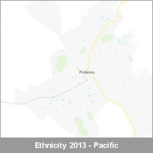 Ethnicity Putaruru Pacific ProductImage 2013