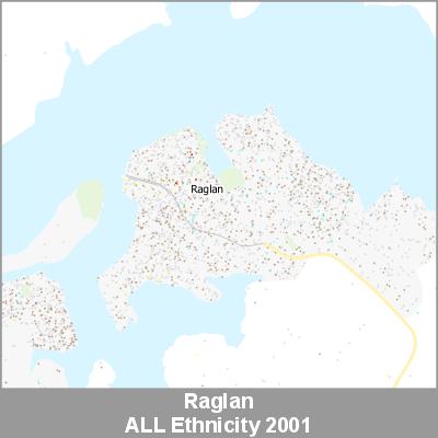 Ethnicity Raglan ALL ProductImage 2001