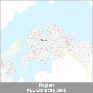 Ethnicity Raglan ALL ProductImage 2006