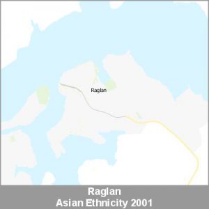 Ethnicity Raglan Asian ProductImage 2001