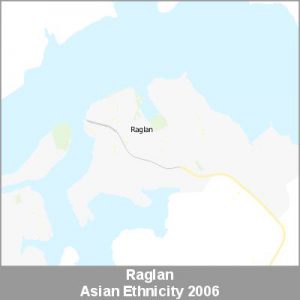 Ethnicity Raglan Asian ProductImage 2006