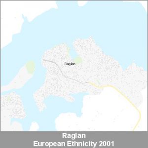 Ethnicity Raglan European ProductImage 2001