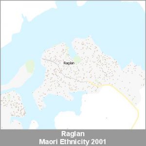 Ethnicity Raglan Maori ProductImage 2001