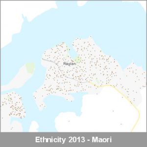 Ethnicity Raglan Maori ProductImage 2013