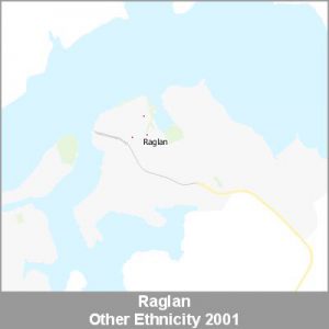 Ethnicity Raglan Other ProductImage 2001