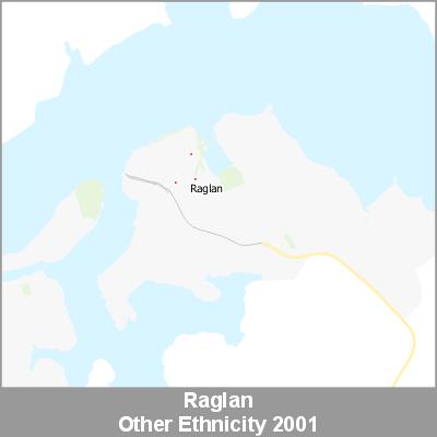 Ethnicity Raglan Other ProductImage 2001