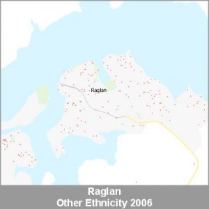 Ethnicity Raglan Other ProductImage 2006