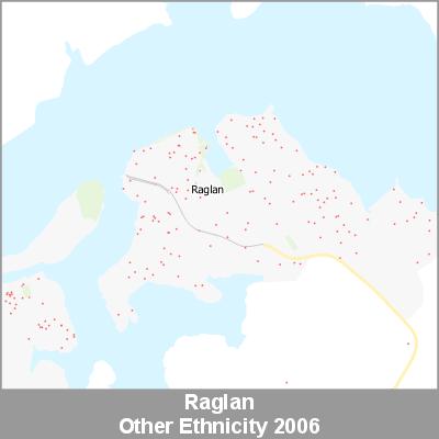 Ethnicity Raglan Other ProductImage 2006