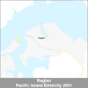 Ethnicity Raglan Pacific ProductImage 2001