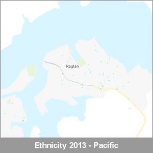 Ethnicity Raglan Pacific ProductImage 2013