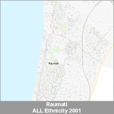 Ethnicity Raumati ALL ProductImage 2001