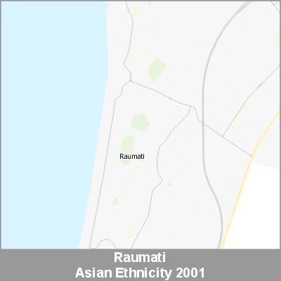 Ethnicity Raumati Asian ProductImage 2001
