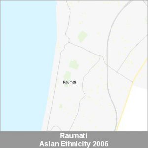 Ethnicity Raumati Asian ProductImage 2006