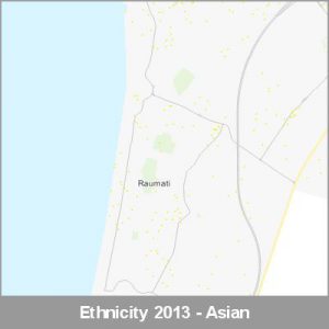 Ethnicity Raumati Asian ProductImage 2013