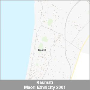Ethnicity Raumati Maori ProductImage 2001