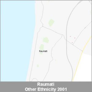 Ethnicity Raumati Other ProductImage 2001