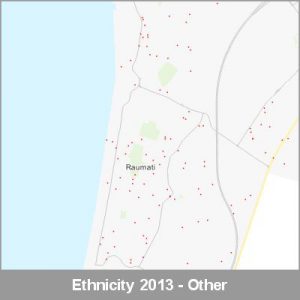 Ethnicity Raumati Other ProductImage 2013