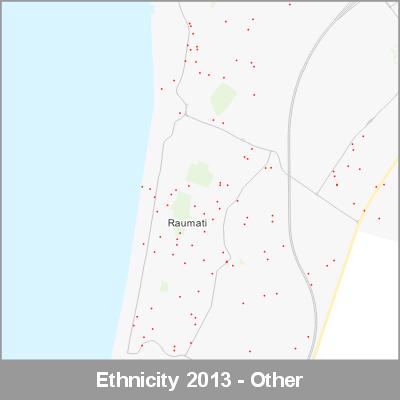 Ethnicity Raumati Other ProductImage 2013